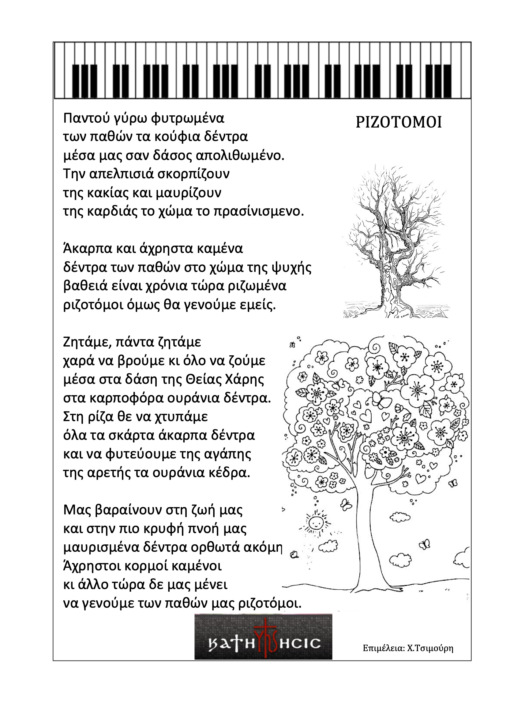 Ριζοτόμοι